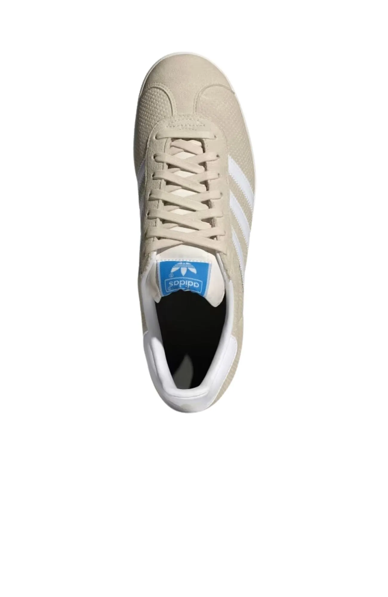 Gazelle Wonder White Cloud White